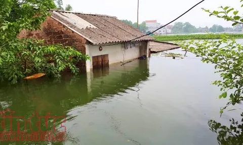 Tạo sinh kế bền vững cho người dân sau thiên tai: Bài 1: Thích ứng với diễn biến khó lường của thời tiết