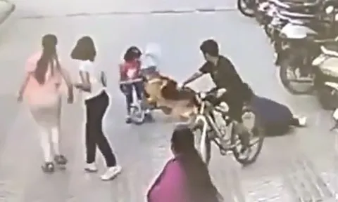 CLIP: Đang đạp xe ở sân chung cư, bé gái 6 tuổi bị chó becgie tấn công và màn giải cứu gay cấn