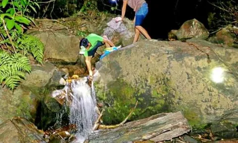 Loại ốc ven suối có hương vị lạ, chỉ xuất hiện vào ban đêm, dân thi nhau rọi đèn bắt, giá cả lên đến 100.000 đồng/kg