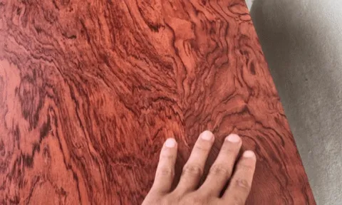 Tìm thấy cây gỗ xấu, ông lão định vứt bỏ nhưng nào ngờ là ‘báu vật’ trị giá gần 30 tỷ đồng