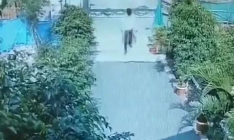 CLIP: Người đàn ông nhảy tránh cú đớp bất ngờ của rắn hổ mang ngay trước cửa quán ăn