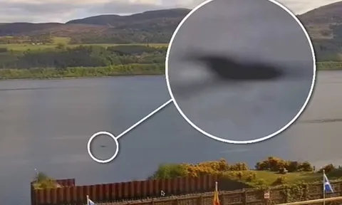 Nghi vấn Nessie sinh con? Thợ săn sửng sốt ghi lại hình ảnh sinh vật 'trẻ vị thành niên' có cổ dài tại hồ Loch Ness