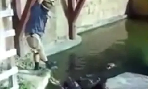 CLIP: Đang đu bị đứt dây thừng, người đàn ông rơi xuống hồ đầy cá sấu và cái kết 'thót tim'