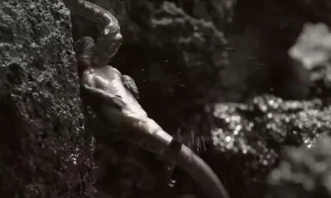 CLIP: Rắn đang săn mồi, diều hâu bất ngờ “nẫng tay trên”