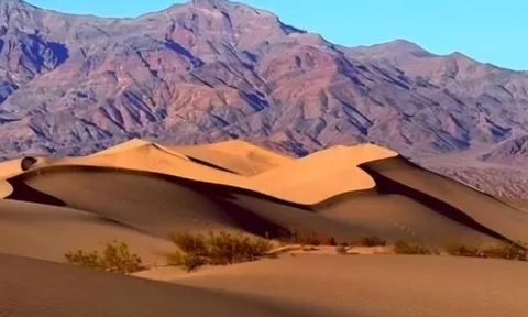 Loài cá sa mạc hiếm nhất thế giới, sống sót ở ‘thung lũng chết’ 60.000 năm: Chỉ còn hơn 30 con