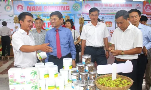 Bình Định: Đưa sản phẩm OCOP 'xuống phố' phục vụ du khách