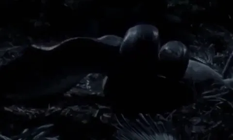 CLIP: Trăn gấm phục kích trong đêm, cú siết tử thần đoạt mạng nai tơ