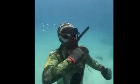 CLIP: Thót tim khoảnh khắc thợ lặn bị bạch tuộc khổng lồ siết cổ dưới đáy biển