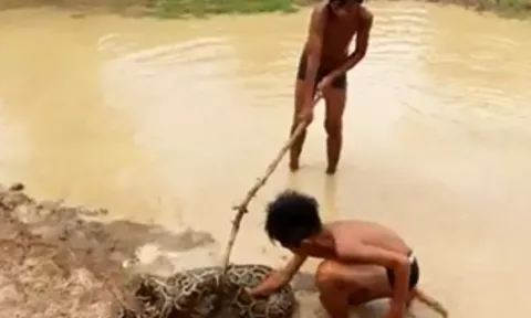 CLIP: Thót tim cảnh hai bé trai vô tư chơi đùa với trăn khổng lồ dưới vũng nước