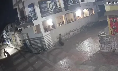 CLIP: Chạm trán sư tử trên đường, 2 người đàn ông vứt xe bỏ chạy