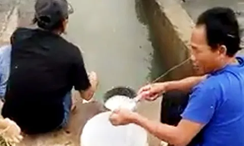 CLIP: Câu cá kiểu "có 1-0-2" dùng chai nhựa và bột mì, vẫn giật cá lia lịa