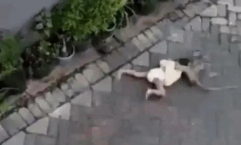 CLIP: Đang đi xe đạp, khỉ vội vàng phóng xuống rồi kéo lê bé gái trên đường