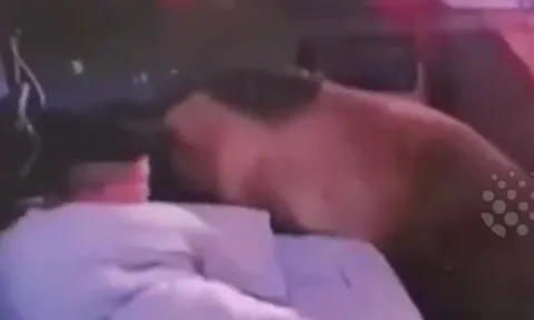CLIP: Đang ngủ thì tỉnh dậy vì tiếng động lạ, người đàn ông có màn xử trí cực 'đỉnh' khi phát hiện gấu nâu cách 25cm