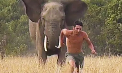 CLIP: Rùng mình cảnh “người liều” chọc giận voi hoang dã, suýt trả giá đắt