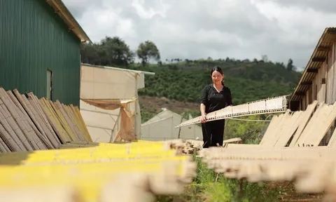 Đam Rông ‘tiếp sức’ các sản phẩm đã được xác lập nhãn hiệu