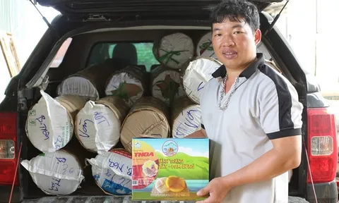 Nhãn hiệu chứng nhận: Đòn bẩy phát triển bền vững cho nông sản Đam Rông