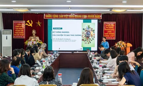 CEO Sao Thái Dương: Thương hiệu Việt tự tin bước ra thế giới nhờ bảo hộ nhãn hiệu Madrid 