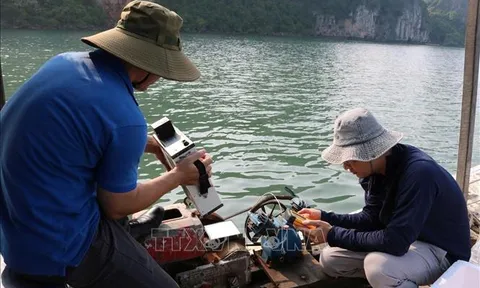 Lần đầu tiên tại Việt Nam: Mô hình AI kết hợp viễn thám giám sát chất lượng nước biển