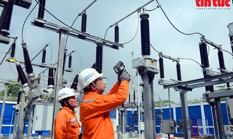 TP Hồ Chí Minh phát triển lưới điện thông minh nhờ chuyển đổi số