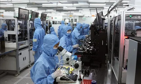 Thành quả ban đầu từ những quyết sách đúng đắn