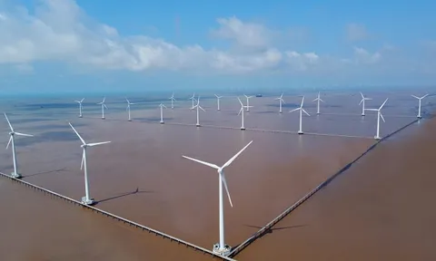 Tiềm năng nào để Cà Mau đặt ra mục tiêu tăng trưởng 8,5% năm 2025?