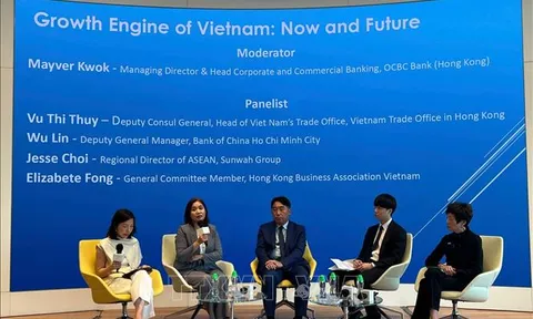 Việt Nam - Động lực tăng trưởng tiếp theo trong ASEAN
