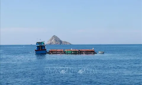 Phát triển kinh tế tư nhân: Động lực mới ở Khánh Hòa