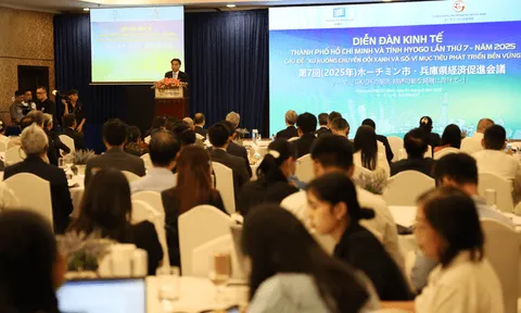 TP Hồ Chí Minh và tỉnh Hyogo - Nhật Bản bàn giải pháp phát triển bền vững