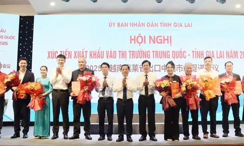 Công nghệ mở đường cho nông sản Gia Lai vào Trung Quốc