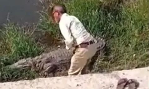 CLIP: Say rượu, người đàn ông coi cá sấu là mẹ và phản ứng khó tin của 'chúa tể đầm lầy'