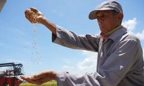 'Hạt giống hạnh phúc' - Phim tài liệu đặc biệt về tình hữu nghị Việt Nam và Cuba