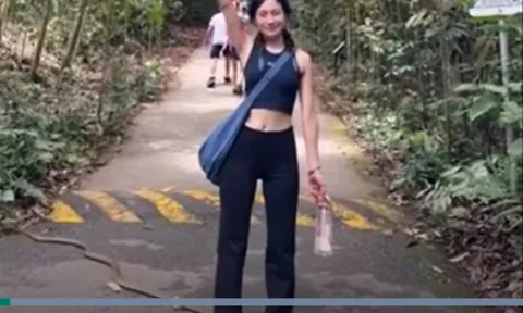 CLIP: Mải chụp ảnh, cô gái không hay biết rắn hổ chúa bò qua chân