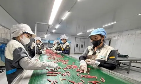 Để kinh tế tư nhân trở thành động lực quan trọng nhất của nền kinh tế