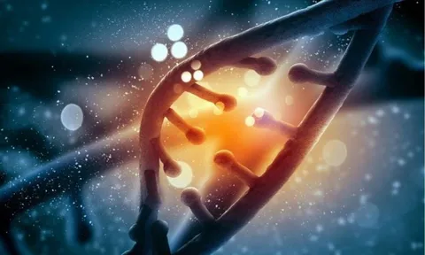 Phát hiện DNA bí ẩn từ loài người tuyệt chủng hàng ngàn năm trước