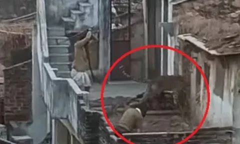 CLIP: Hai người đàn ông bị báo hoa mai tấn công trong làng và cái kết kịch tính