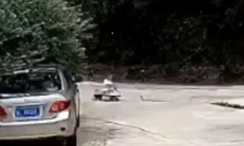 CLIP: Bố nhanh trí cứu bé trai thoát chết trong gang tấc trước rắn hổ mang