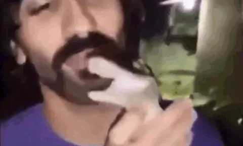 CLIP: Liều lĩnh hôn cá sấu, nam thanh niên lãnh hậu quả ngay tức khắc