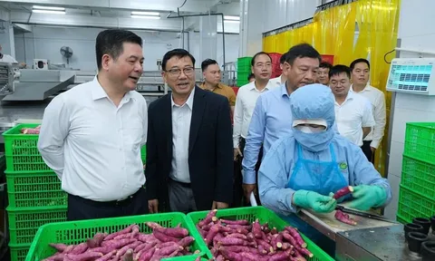 Bộ trưởng Công Thương: Muốn đi xa, doanh nghiệp phải sản xuất sạch và minh bạch nguồn gốc