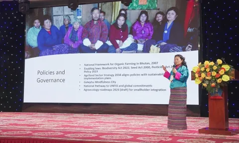 Phát triển nông nghiệp hữu cơ nhìn từ các quốc gia trên thế giới