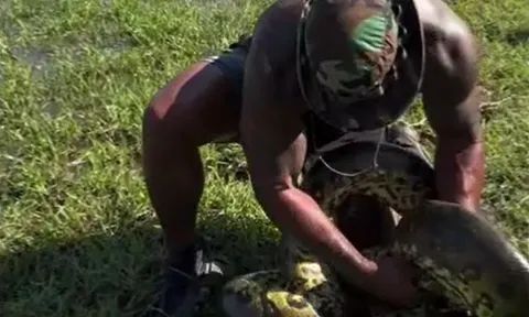Người đàn ông tay không khống chế trăn anaconda khổng lồ, kết thúc bằng hành động gây sốc
