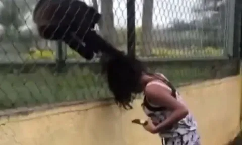 Trêu chọc khỉ trong vườn thú, cô gái nhận bài học nhớ đời