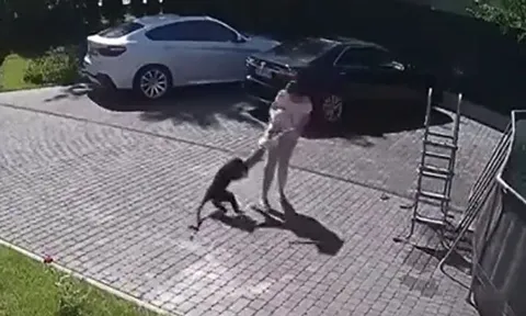 Khỉ điên loạn lao vào nhà tấn công bé gái 2 tuổi, mẹ liều mình giải cứu trong gang tấc