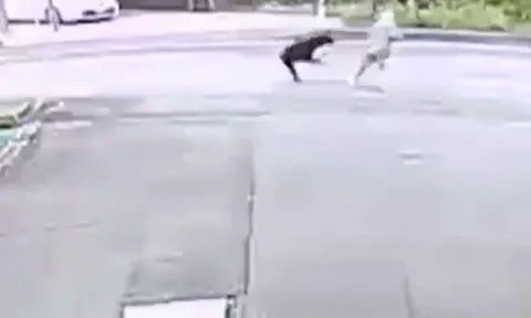 Cụ bà 82 tuổi bị gấu dữ tấn công giữa đường, phản ứng khiến ai nấy kinh ngạc