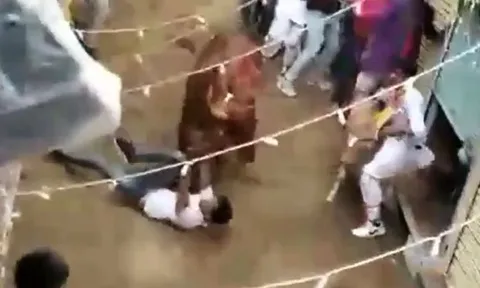 Bò đực húc nam thanh niên giữa phố, người dân liều mình đánh lạc hướng cứu nạn nhân