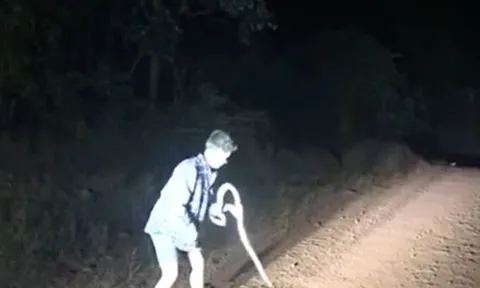 Dùng tay không bắt rắn giữa đường, nam thanh niên phải ‘trả giá đắt’ chỉ sau vài giây