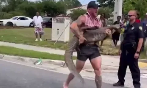 Võ sĩ MMA tay không hạ gục cá sấu dài 2,5m giữa phố Florida