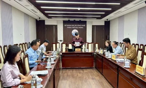 Hải Phòng triển khai nhiệm vụ phát triển nhãn hiệu tập thể 'Vải thiều Bát Trang'