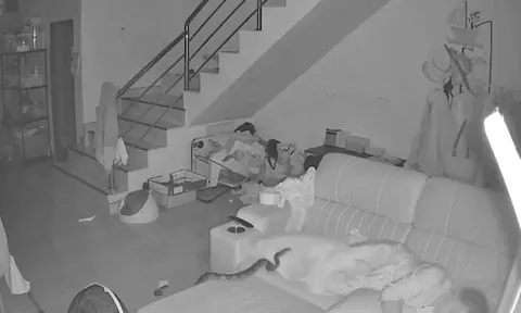 Cụ bà 70 tuổi hoảng hồn khi trăn dài 3 mét bò lên ghế sofa lúc đang ngủ