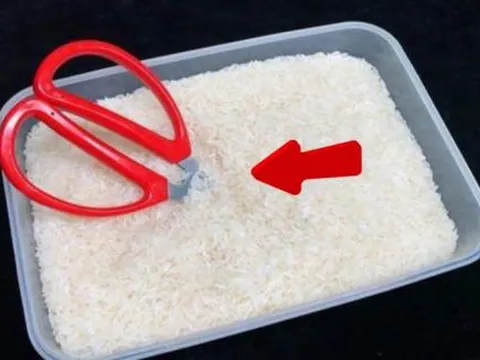 Cắm 1 cây kéo vào thùng gạo, nghe lạ nhưng bạn sẽ tiếc hùi hụi vì đã không biết sớm hơn mẹo hữu ích này