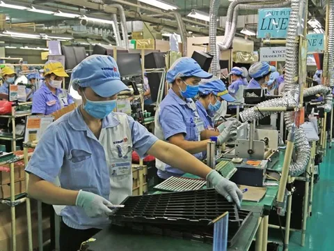 Năm 2025 đầy triển vọng của kinh tế Việt Nam